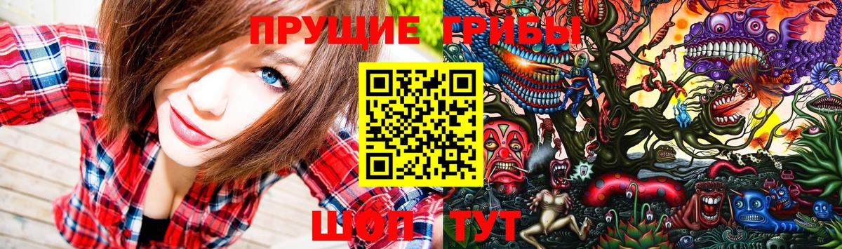 Галлюциногенные грибы Psilocybine cubensis Новокубанск