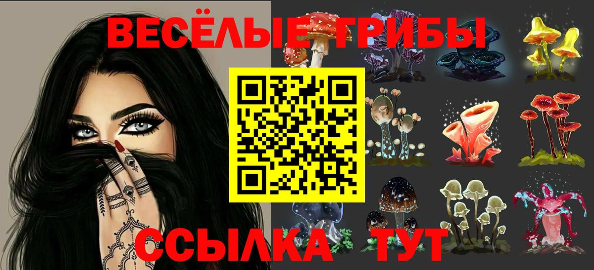 Новокубанск  Галлюциногенные грибы ЛСД  Галлюциногенные грибы GOLDEN TEACHER  Вход с VPN 